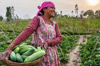 Solving world hunger may seem far fetched, but some experts say it can be done. 