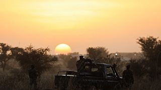 Niger : des dizaines de personnes tuées près de la frontière malienne