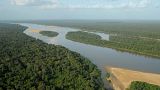 Amazon rainforest
