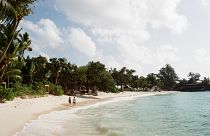 on a beach, seychelles.