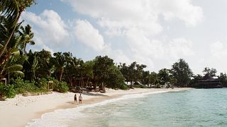 on a beach, seychelles.