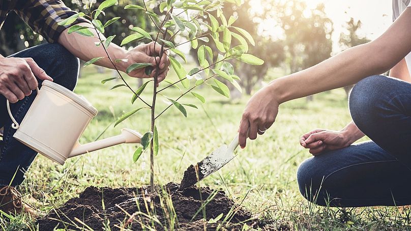 These are the five biggest myths around sustainable living