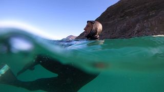 Afrique du Sud : le bodysurf, à l'assaut des vagues sans planche