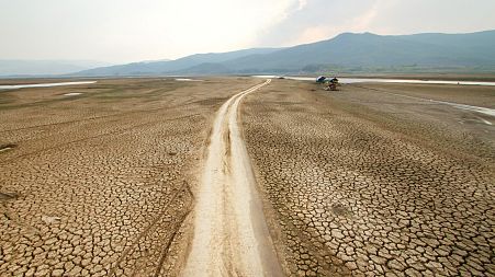 World Water Day: Universal access to water would save both people and planet