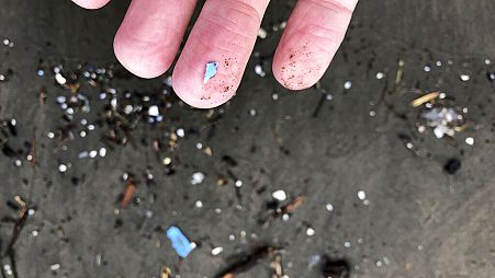 Microplastic debris - like this which has washed up on a beach - can be seriously bad for human health