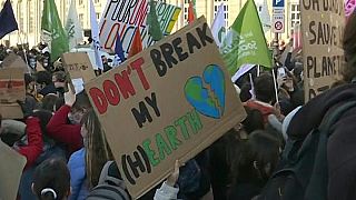 مظاهرات في باريس من أجل حماية الطبيعة