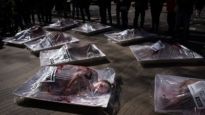 Barselona'da hayvan hakları savunucuları et tüketimini protesto etti