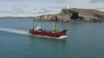 Una boya marina para prevenir colisiones entre barcos y cetáceos en el mar de Irlanda