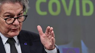 "Wir haben absolut keinen Bedarf an Sputnik V" EU-Kommissar Breton erntet auch Kritik