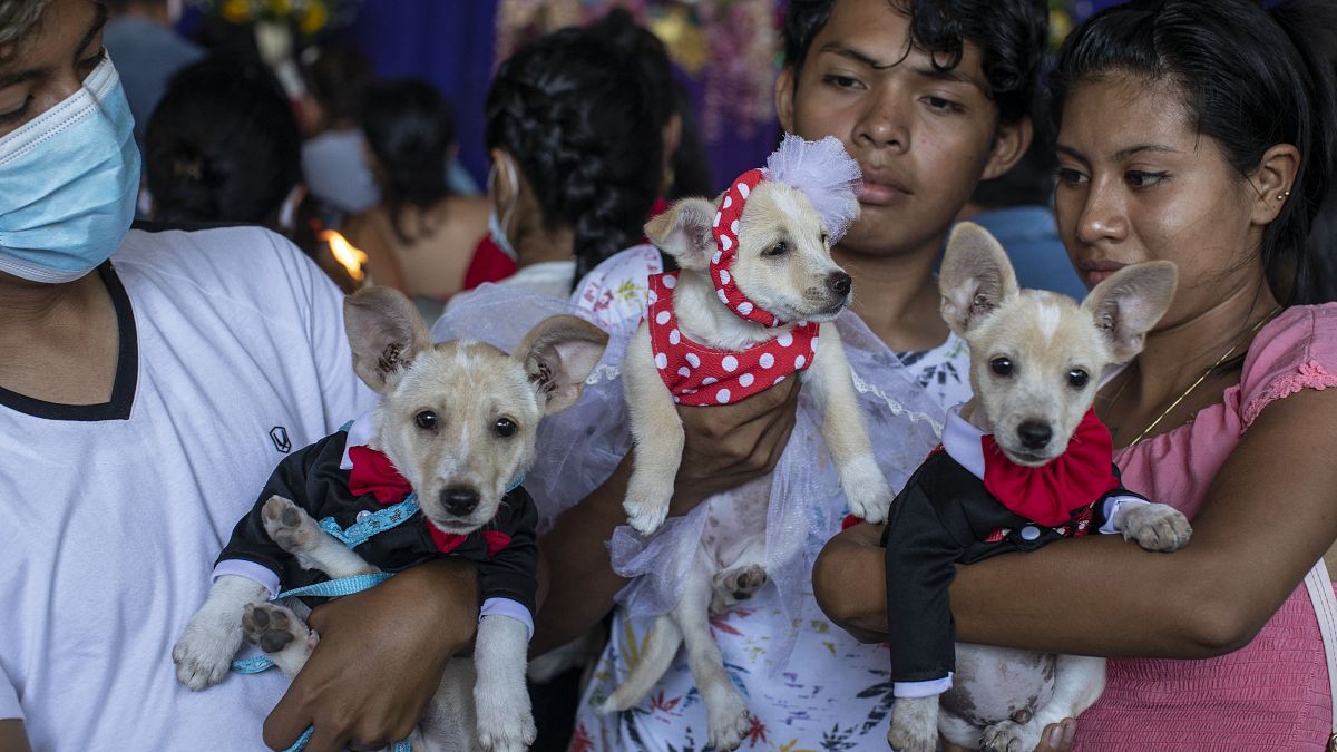 احتفلات القديس لازاروس في نيكاراغوا