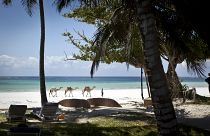 سياح على شاطئ المحيط الهندي في دياني - كينيا. 2012/03/28