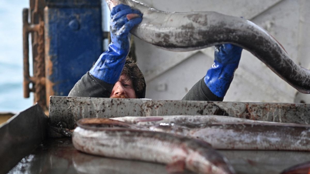 UE aprova plano de contigência para pescar em águas britânicas