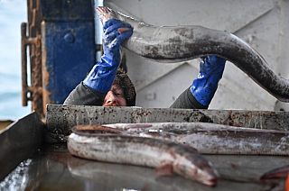 EU extends temporary fishing quotas with UK until July