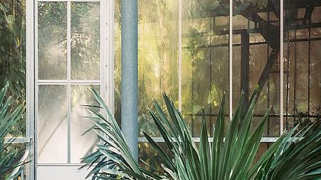 Transparent wood could be a vital part of building sustainable housing.