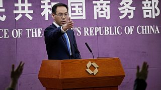 گائو فنگ، سخنگوی وزارت بازرگانی چین