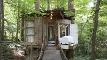 This treehouse is one part of the 'suite' in Atlanta, USA. 