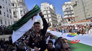 Algerians protest against government in new Hirak demonstration