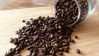  تأتي أزمة قناة السويس في ظل معاناة قائمة لشركات القهوة الأوروبية للحصول على الإمدادات من فيتنام، أكبر منتج للروبوستا في العالم.