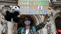 Francia somete a debate parlamentario el proyecto de ley sobre el clima, la calle ambiciona más
