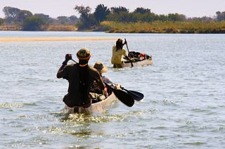 The source of the Okavango wilderness: Angola's untapped territory teeming with biodiversity