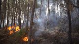 خبراء مناخ وإطفائيون إسبان يعملون على إنشاء نظام يتنبأ بحرائق الغابات