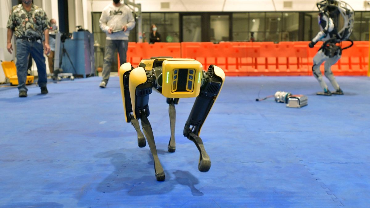  یکی از سگ رباتهای شرکت بوستون داینامیکز در نمایشگاه 