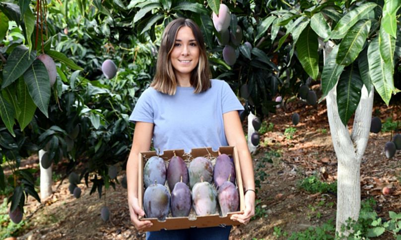 What is Airbnb farming and could it improve the wasteful food supply chain?