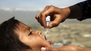 طرح ملی واکسیناسیون فلج اطفال در افغانستان