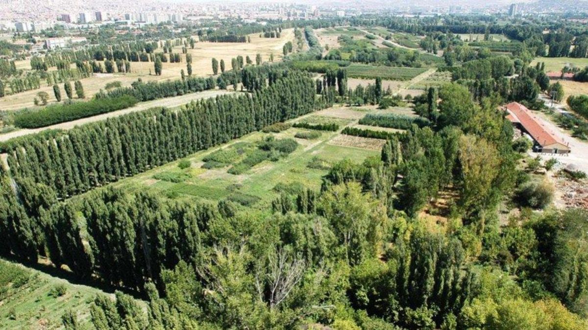 Atatürk Orman Çiftliği'nin eski bir görüntüsü