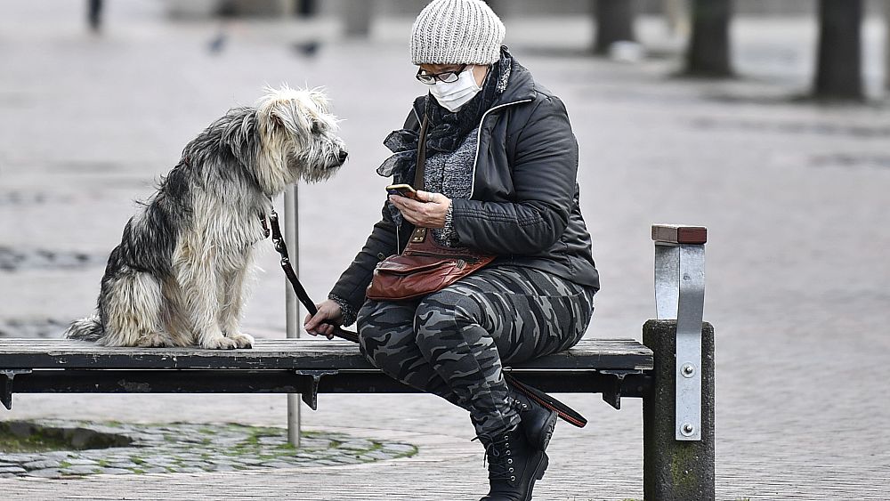 as-lockdown-bites-germans-hope-dogs-can-help-them-through-ruff-times