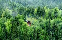 A secluded treehouse in Alaska