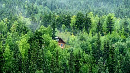 A secluded treehouse in Alaska