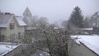 شاهد: الثلوج تكسي بروكسل بحلة بيضاء