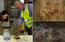 This bacteria offers a greener way to treat wastewater.