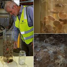 Scientists have grown a clean, green superbug that eats sewage