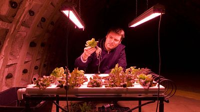 Growing Underground co-founder Richard Ballard has grown the business for six years Growing Underground co-founder Richard Ballard has grown the business for six years