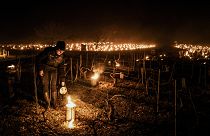 A winegrower from the Daniel-Etienne Defaix wine estate lights anti-frost candles in their vineyard near Chablis, Burgundy, France. April 7, 2021
