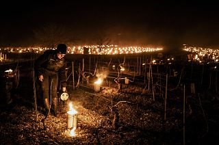 A winegrower from the Daniel-Etienne Defaix wine estate lights anti-frost candles in their vineyard near Chablis, Burgundy, France. April 7, 2021