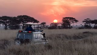 Africa is best known for being a safari hotspot. But where are the other options?