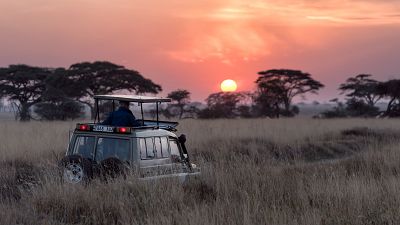 Africa is best known for being a safari hotspot. But where are the other options? Africa is best known for being a safari hotspot. But where are the other options?