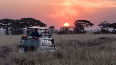 Africa is best known for being a safari hotspot. But where are the other options?