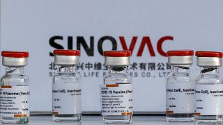 Çinli Sinovac firmasının Covid-19'a karşı geliştirdiği aşı