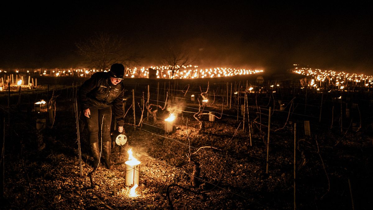 Un viticultor de la finca vinícola Daniel-Etienne Defaix enciende velas antiheladas en su viñedo cerca de Chablis, Borgoña, Francia, el 7 de abril de 2021.