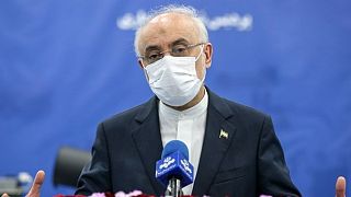 علی اکبر صالحی، رییس سازمان انرژی اتمی ایران