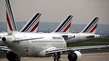 Air France planes are parked on the tarmac at Paris Charles de Gaulle airport, in Roissy, near Paris