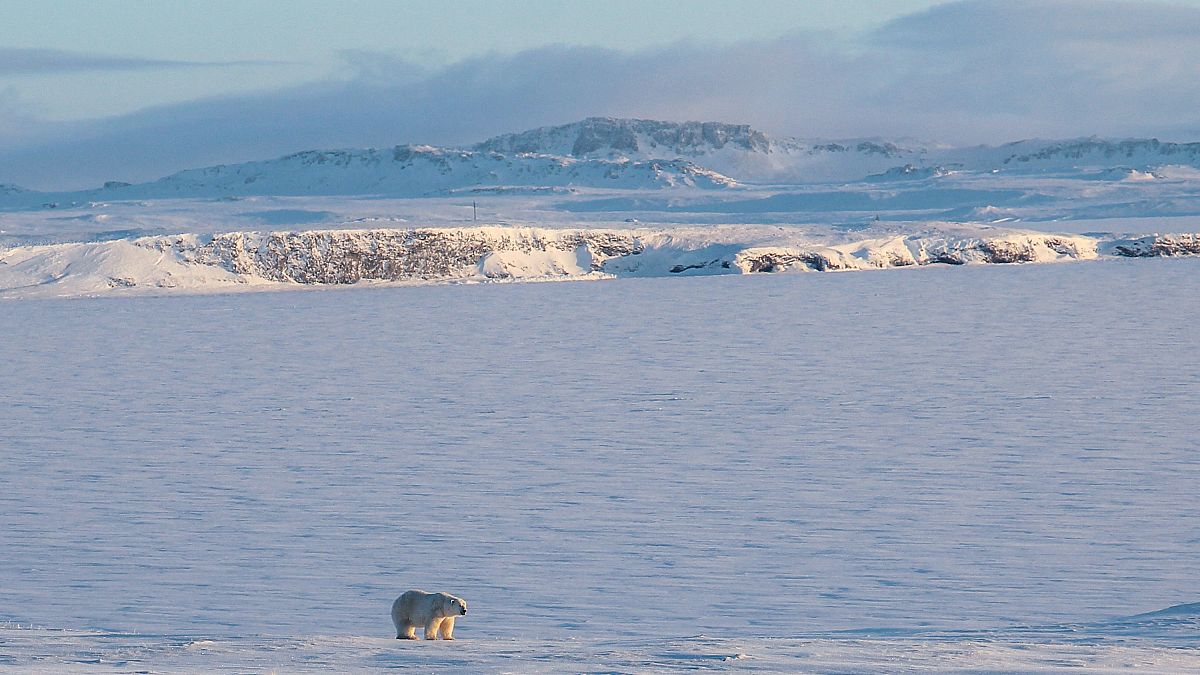 UE quer ter maior protagonismo no Ártico