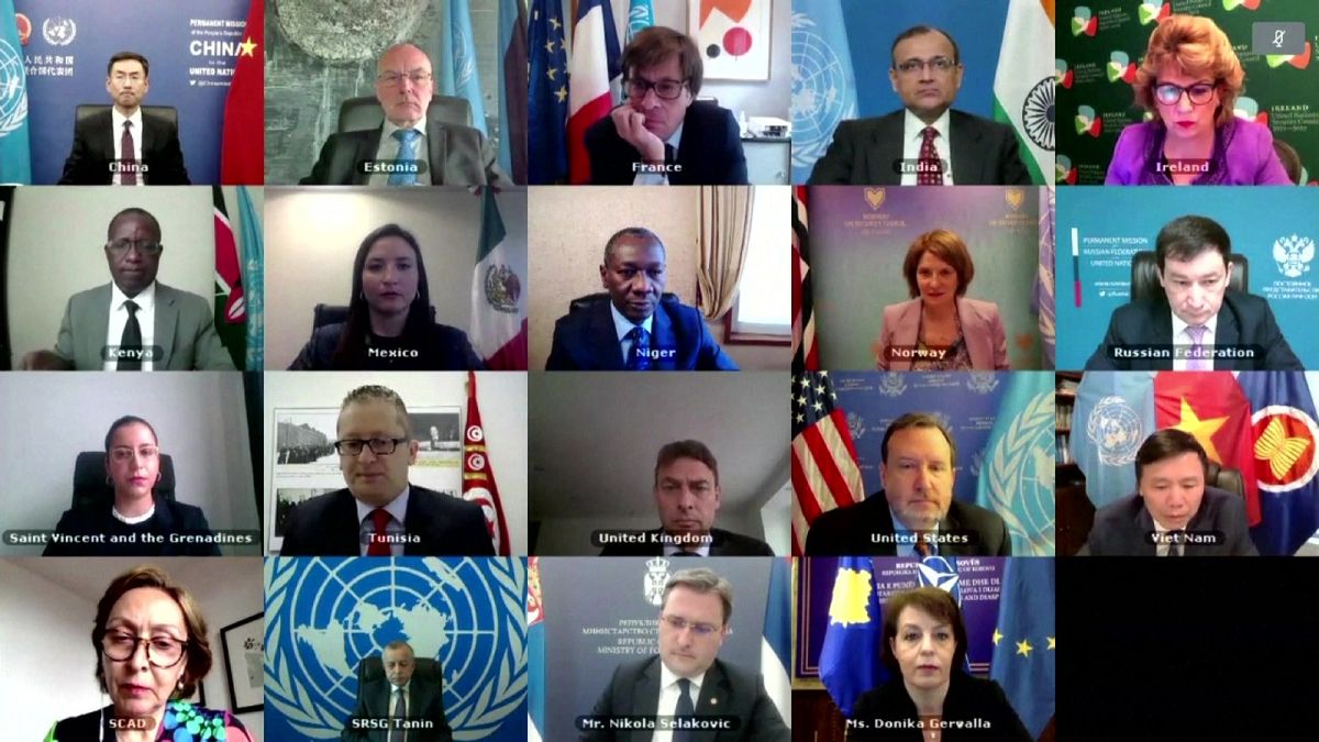 A screenshot of the virtual UN meeting