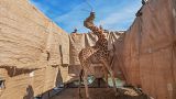 Una giraffa di Rotschild viene tratta in salvo da un'isola inondata dalle piogge in Kenya, 3 dicembre 2020