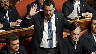 Pictured in February 2020, then-opposition leader Matteo Salvini defended himself over the 2019 incident in the Italian Senate