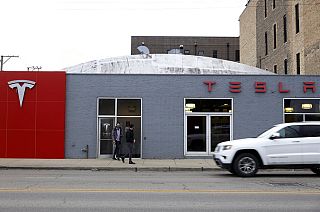 Locals and environment groups in David and Goliath battle over Tesla's Berlin 'Gigafactory'